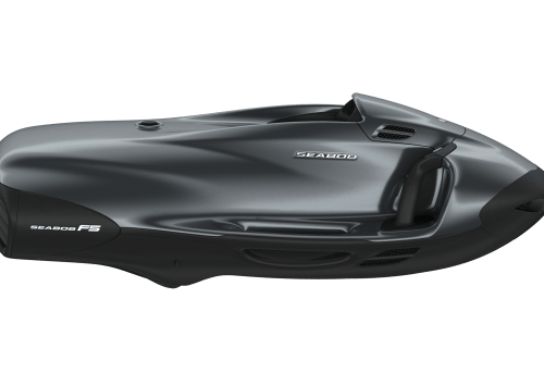 F5_Platin Silver metallic_Side View