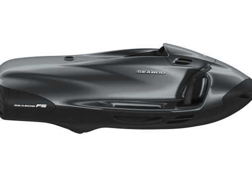 F5_Platin Silver metallic_Side View